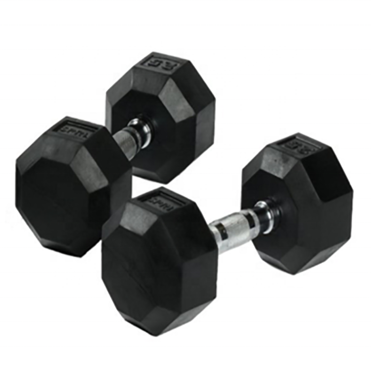 Train Good Fast Delivery Rubber Dumbbell Iron Weight Lifting Hex Dumbbell Free Weight Gym Equipment Dumbbell Set