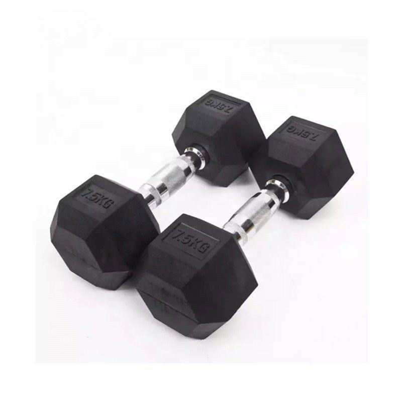 Manufacturer Coated Full Black Gym Weight Rubber Cast Iron Hexagonal Dumbells a Pair 10 LB Hex Dumbbell Set