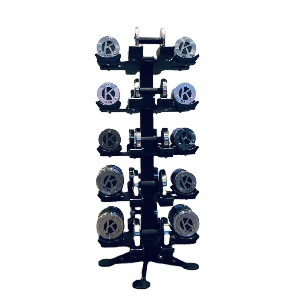 Lecheng Sport Tree Dumbbell Rack