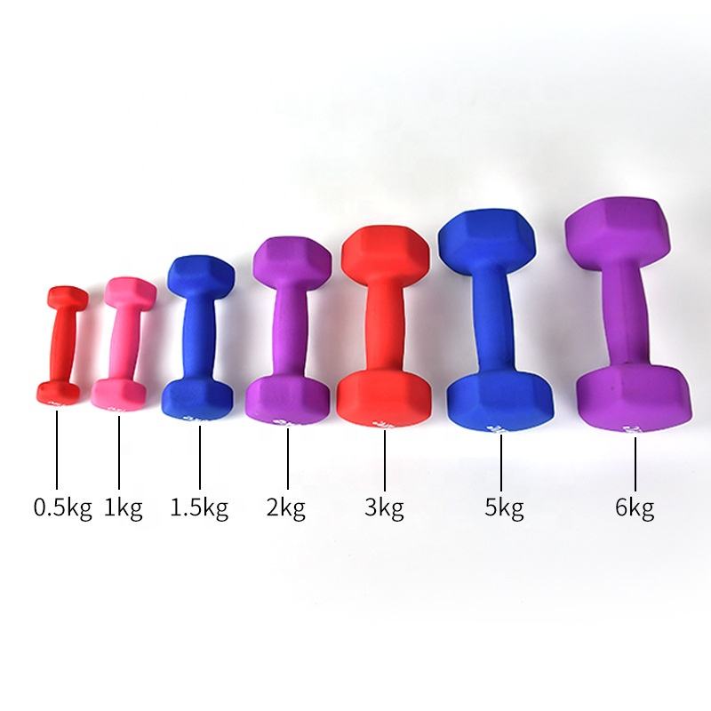 Fitness Custom 1kg 3kg 5kg 10kg Dumbbell Weight Gym Girls Hex Neoprene Bone Shape Hex Dumbbell Set