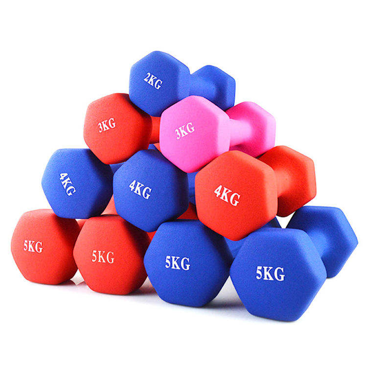 Custom Logo Weight 8KG Fitness Equipment Home Sports Equipment Iron Dumbbell Colorful Vinyl Dumbbells Set for Women Kids