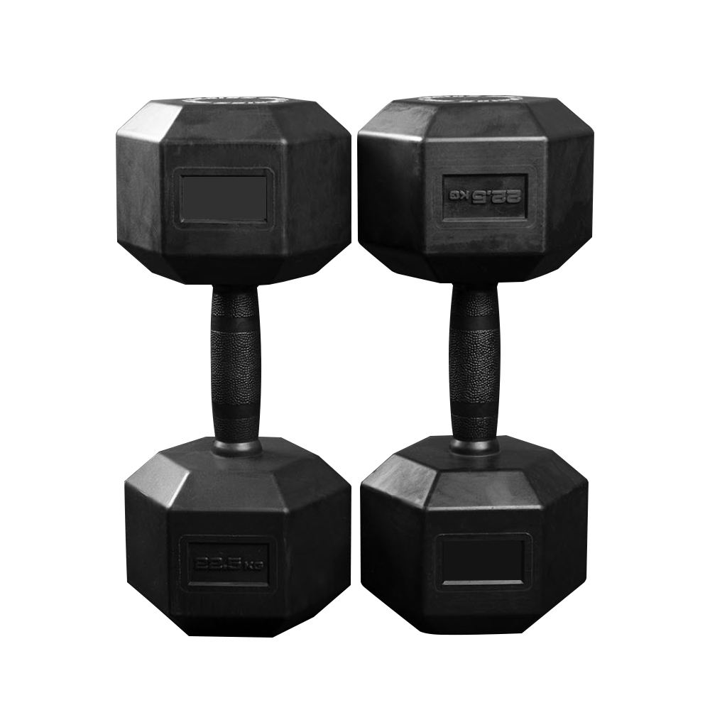 Low Price Commercial Home Gym Equipment Weight Training 5Kg Dumbbell Set Dumbbells