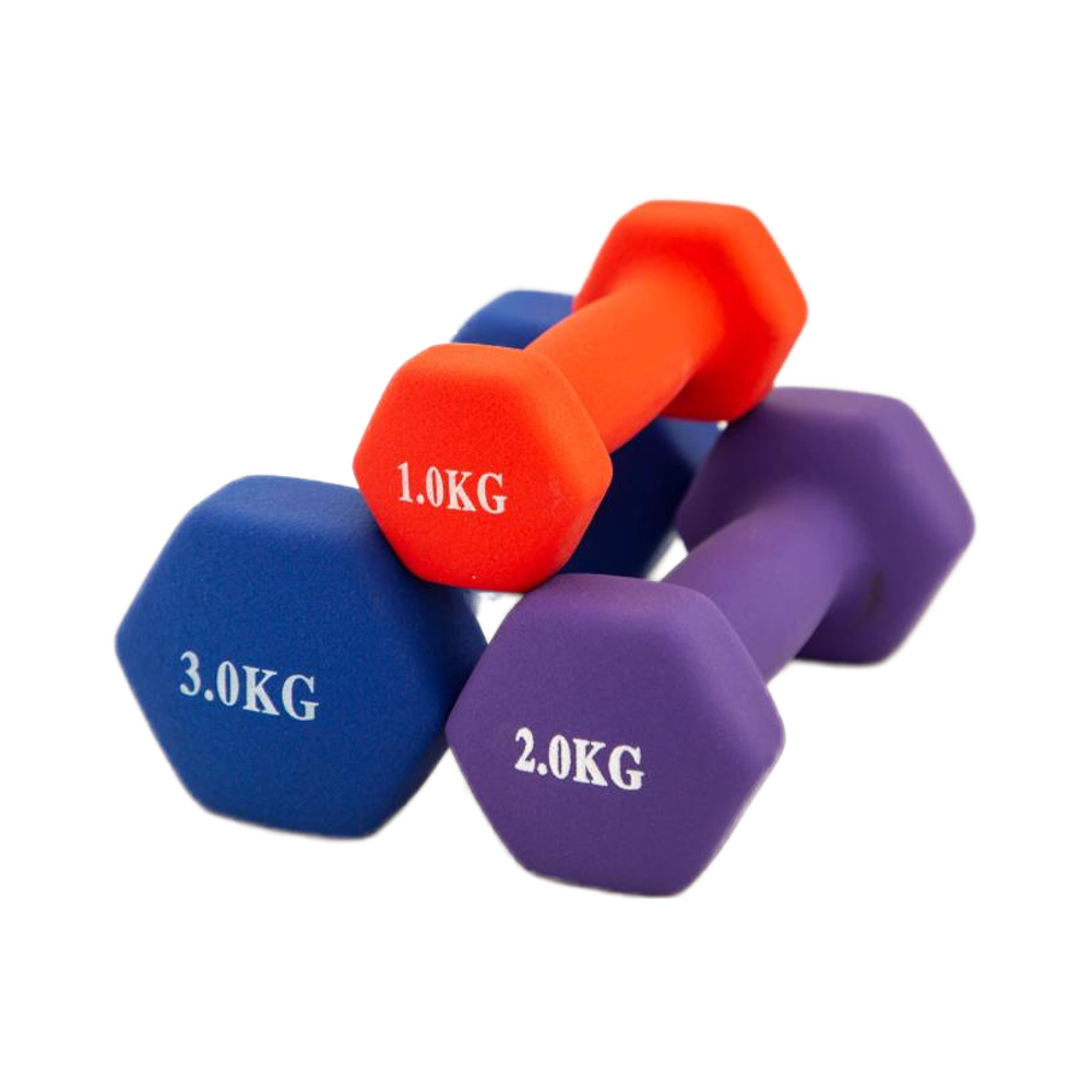 OBG 4kg Cast Iron Dumbbell Set Weight Lifting Neoprene Coated Hand Weights Dumbbell