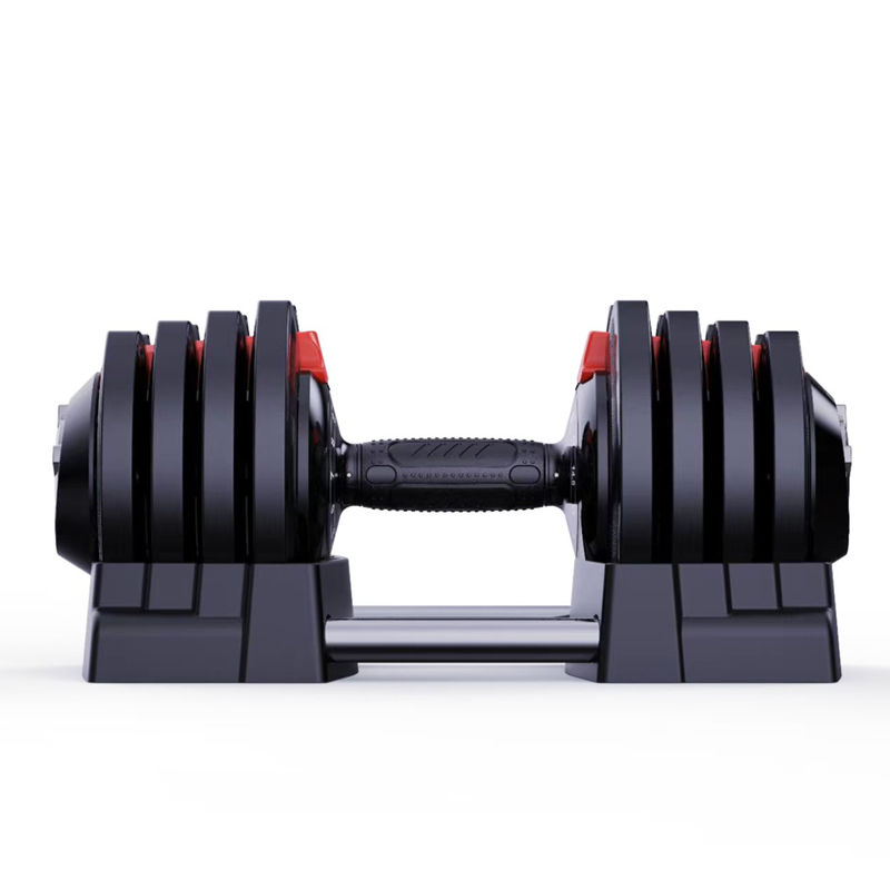 The Dumbbell Dumbbell Guaranteed Quality Proper Price the Adjustable Bench Dumbbell