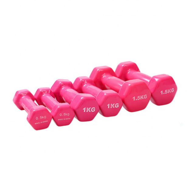 Wholesale Cheap Price 5kg Rubber Coated Neoprene Vinyl Dumbbell Set