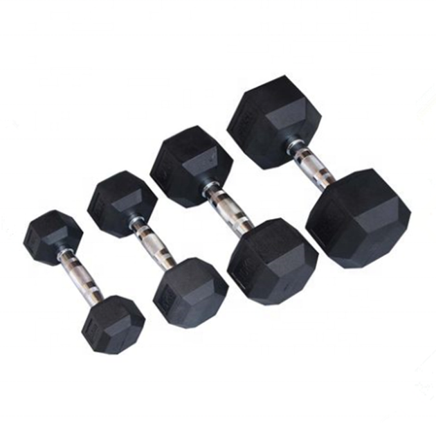 2.5kg 5kg 10kg 15kg 20kg Rubber Coated Hex Cast Iron Dumbbell Set