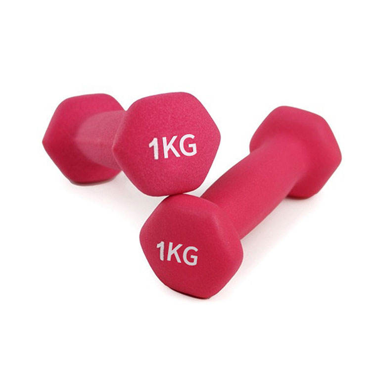 Pilot Sports Square Shape Vinyl Dumbbell Gym Fitness Equipment Weights Dumbbells Set With Rack For Bodybuilding