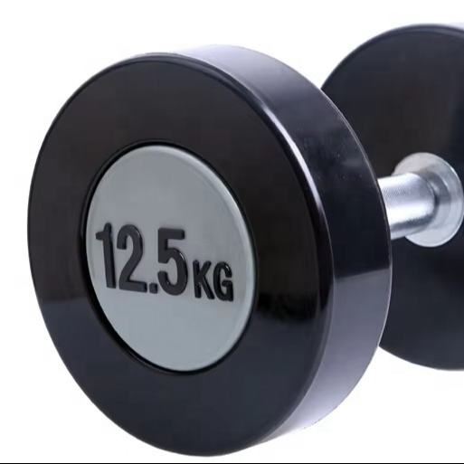 Gym Fitness Training Non-slip Handle Dumbbell KG LBS Rubber Coated Round Head Dumbbell for Weight Lifting