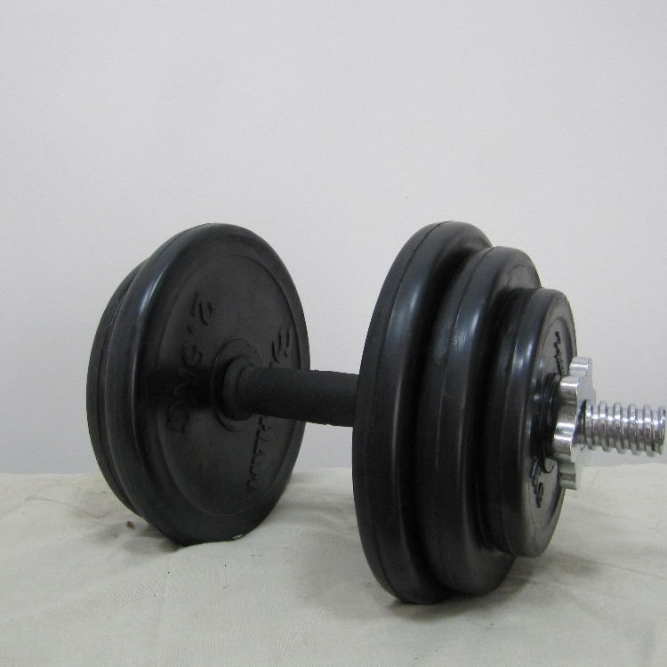 50 Lbs Weight Lifting Training Rubber Adjustable Barbell Dumbbell Cast Iron Black Carton Men Exercise 10kg Dumbbell Set ARMS